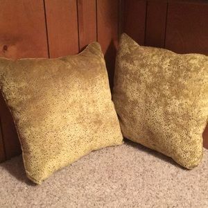 2 Decorative Pillows